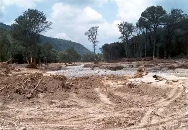 کشف ۱۲۴۹ مورد زمین خواری در کشور