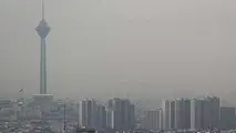 حقوق شهروندان در مقابل آلودگی محیط زیست و هوا