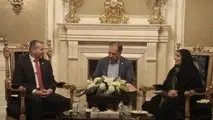 تحریم های دریایی به مشارکت ها در تامین ایمنی و امنیت دریانوردی آسیب می زند/ تامین حقوق دریانوردان ایرانی اولویت جدی "آیمو"