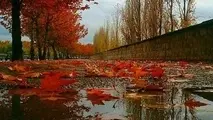 تداوم بارش‌ ها تا روز چهارشنبه/بارش برف در مناطق سردسیر 