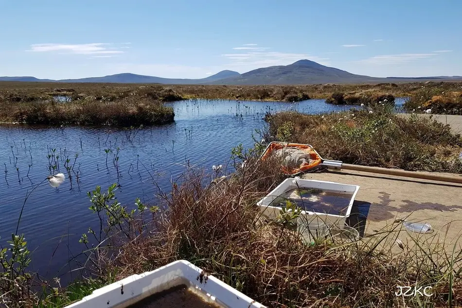  Irish Coast Guard responded to 2,554 incidents in 2024