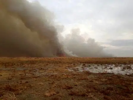 وقوع آتش سوزی در تالاب میقان/ آتش‌سوزی منجر به افزایش پارامترهای آلودگی هوا در اراک شد