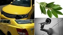 خداحافظ آکالیپتوس، سلام تاکسی اتوماتیک