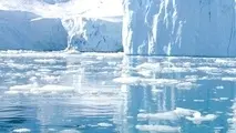 IMO states urged to support action on HFO risks in Arctic