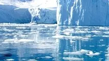 IMO states urged to support action on HFO risks in Arctic