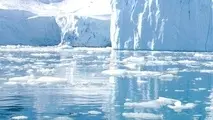 IMO states urged to support action on HFO risks in Arctic