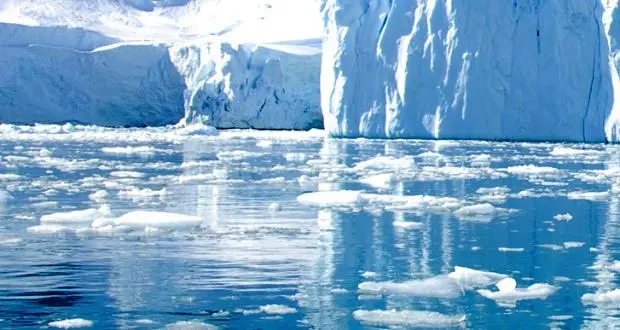 IMO states urged to support action on HFO risks in Arctic