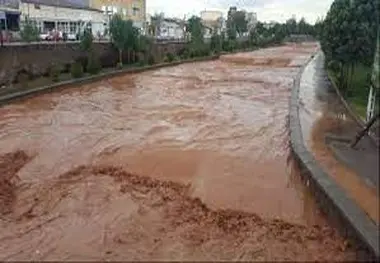 تبریز و اردبیل پس از باران؛ خودروها را آب برد