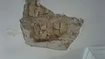 مدیرکل مدیریت بحران ایلام از مردم خواست امشب در پارک ها بخوابند