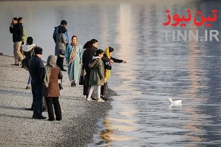 تهران؛ میزبان «پرندگان سیبری»