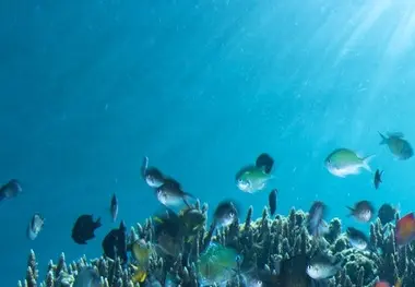 Santa Barbara program protecting air and marine life expanded