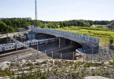 Rail’s most striking wildlife corridors 