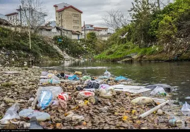 هشدار هادی حق شناس: آلودگی محیط زیست کنترل نشود، شهر رشت و انزلی قابل سکونت نخواهد بود