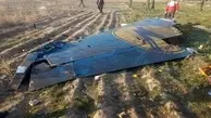 کرونا علت تأخیر در بازخوانی جعبه سیاه هواپیمای اوکراینی است