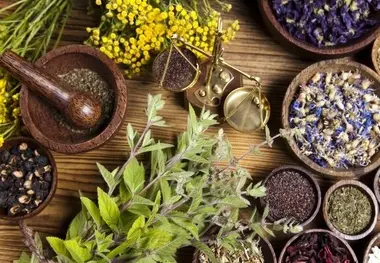 توصیه‌ های طب سنتی برای فصل بهار؛ از چه غذاهایی پرهیز کنیم؟ 