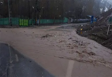سیل فشم تکذیب شد