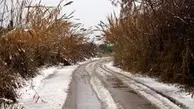 بارش برف و باران در بسیاری از جاده‌ها/‌ اعمال محدودیت ترافیکی در همه محور‌های تهران-شمال‌