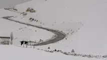 هشدار کولاک برف در ۲۰ استان