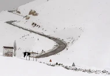 گزارش تصویری | «کوهرنگ» مدفون در برف