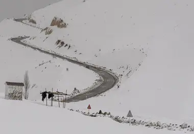امروز اکثر مناطق کشور بارانی است/ بارش شدید برف در غرب و شمال غرب