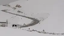 امروز اکثر مناطق کشور بارانی است/ بارش شدید برف در غرب و شمال غرب
