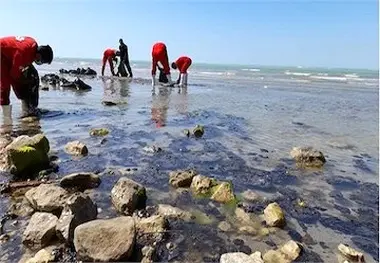 پاکسازی آلودگی‌های نفتی رسیده به ساحل بندر بوشهر ادامه دارد