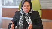 بایدهای توسعه ترانزیت در اقتصاد 