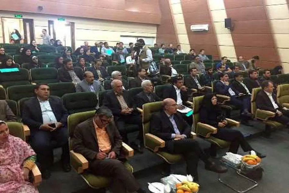سهم اقتصاد سبز از اقتصاد ایران نیم درصد است