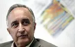 مبارزان با سرمایه‌داری، دن‌کیشوت‌های با شمشیر چوبین‌اند