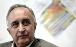 مبارزان با سرمایه‌داری، دن‌کیشوت‌های با شمشیر چوبین‌اند
