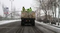  با بارش برف در جاده های شهرستان، عملیات شن و نمک پاشی آغاز شد