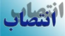 انتصاب مدیرعامل جدید سازمان منطقه آزاد چابهار
