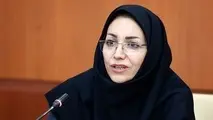 سازمان هواشناسی؛ از مکاتبه برای "جهرم" تا درخواست دسترسی به موقعیت درختان فرسوده