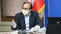 شیوا: فقط دو خودروساز اصلی داریم