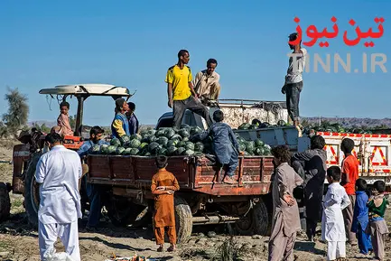 خسارات سیل به عشایر بورک شهرستان نیکشهر