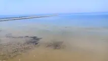 سواحل گناوه پایش هوایی شد 