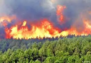 مهار آتش سوزی جنگل‌های کوه خامی گچساران پس از ۳ روز
