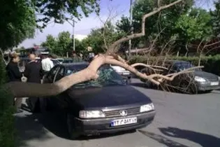 فیلم| سقوط حصار پروژه احداث ایستگاه تاکسی تجریش به روی خودروها