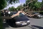 فیلم| سقوط حصار پروژه احداث ایستگاه تاکسی تجریش به روی خودروها