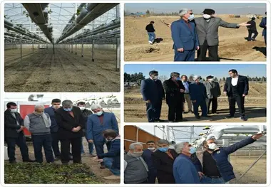 از روند پیشرفت گلخانه های این شهر بازدید کرد 