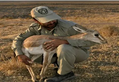 ۱۰ محیط‌بان کرونایی شدند 