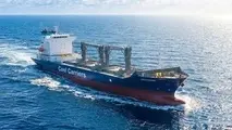 Reefer Ships: Resilient Link in the Cold Chain