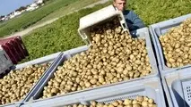 مقاله/ راهنمای حمل‌ونقل و محصولات کشاورزی
