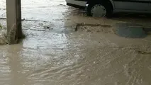 ۲۲۷ میلیارد ریال خسارت بارندگی اخیر در حوزه راهداری هرمزگان