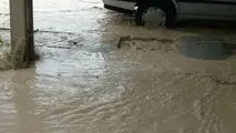 ۲۲۷ میلیارد ریال خسارت بارندگی اخیر در حوزه راهداری هرمزگان