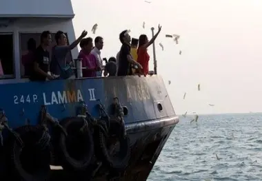 Fatal fall from a low - rise stepping platform on main deck