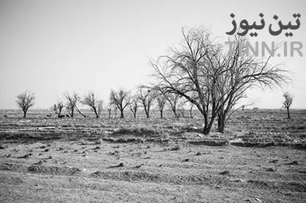 n00026018-r-b-007