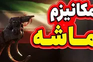 مکانیزم ماشه و راهکارهای دولت برای کاهش فشار تحریم ها بر بنگاه های اقتصادی 