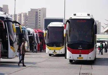 گره کور واردات اتوبوس چیست؟؛ کمبود حمل‌ و نقل جاده‌ ای در اربعین و نوروز